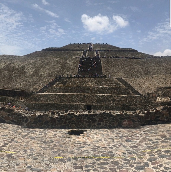 Meet your Posher, Ty - Picture 1 of 1